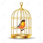 13758772-golden-bird-cage-with-bird-inside-isolated-Stock-Vector