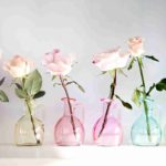 Roses-Flowers-Jars