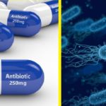 3d rendering of antibiotic pills over white